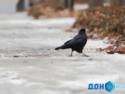 В понедельник в Ростове будет около нуля градусов