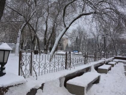 Климатолог Иошпа прогнозирует морозы в феврале в Ростове