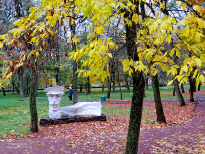 В осеннем парке опадают листья
