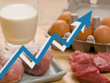 РОСТ ПРОИЗВОДСТВА МЯСА И ЯИЦ НА ДОНУ ЗА ПЕРВОЕ ПОЛУГОДИЕ СОСТАВИЛ ОКОЛО 30%