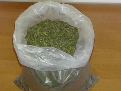 В Новочеркасске полицейские задержали мужчину с целым пакетом конопли