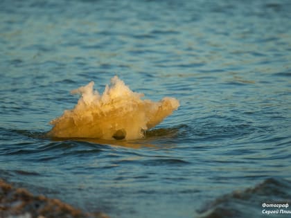 Погода в Таганроге 1 марта: солнечно и тепло