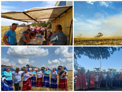 Хлеборобов Усть-Донецкого района поздравили с началом уборочной кампании