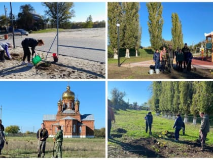 Состоялся областной День древонасаждений