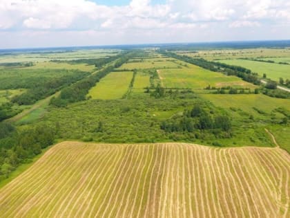 ФАС разрешила «Группе Агроком» Саввиди приобрести два агрокомплекса в Ростовской области