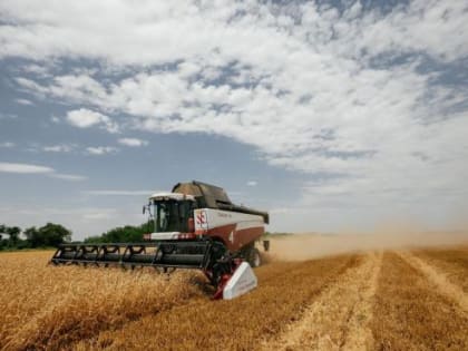 Донской Сбер: каждый второй кредит - на урожай