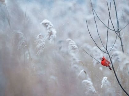 Народные приметы на 30 ноября 2022 года: что нельзя делать в день Григория Зимоуказателя