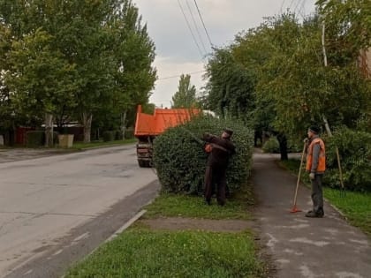 В Таганроге стригут кустарники и косят траву