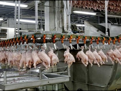 Росстат: В июле подорожали больше всего апельсины, сахар и мясо кур