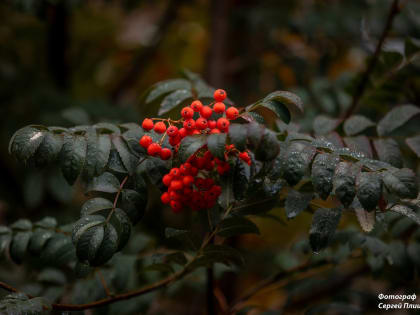 Погода в Таганроге 30 октября: дождливое воскресенье