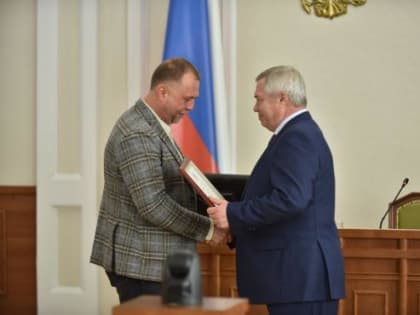 Голубев наградил депутата-добровольца Бородая за вклад в развитие Ростовской области