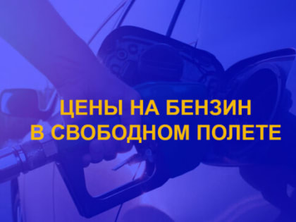 Депутаты Госдумы признали невозможность удержания низких цен на бензин