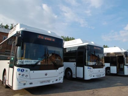 Голубев отменил повышение платы за проезд на 50% в Батайске