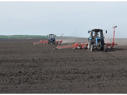 Весенняя посевная кампания приближается к завершению