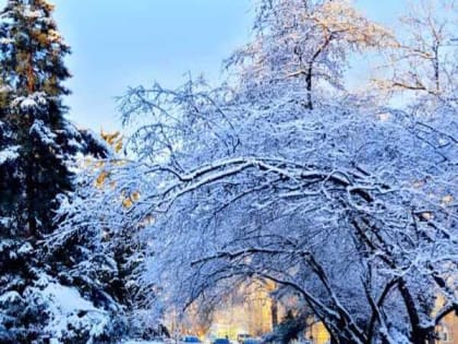 Морозное начало недели ждет шахтинцев