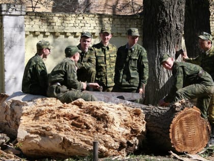 Нужно ли увеличивать срок службы в армии до двух лет?