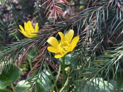 Ветреная и дождливая погода ждет шахтинцев