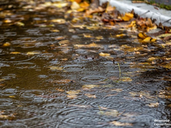 Погода в Таганроге 17 ноября: пасмурный, дождливый день
