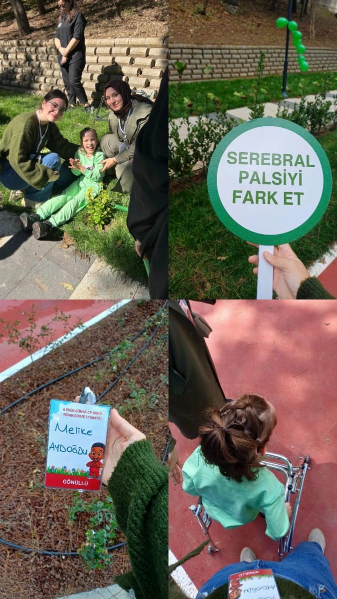 Melike Aydoğdu galeri görseli 3