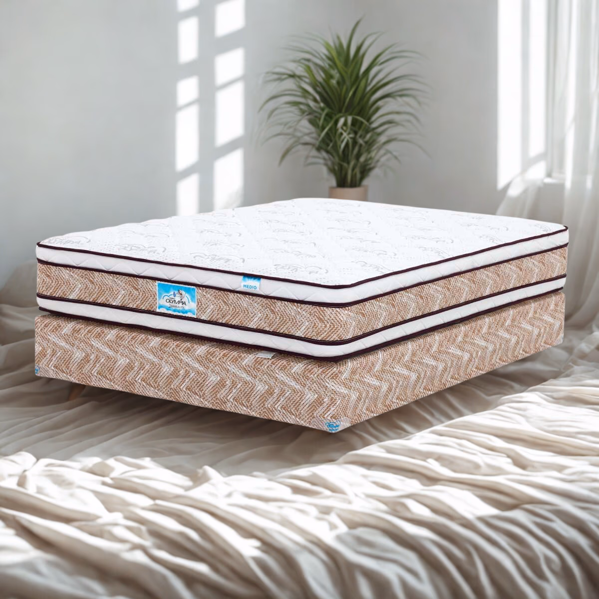 CAMA OLYMPIA EDICIÓN MATRIMONIAL CHAPINA DOBLE BOX TOP