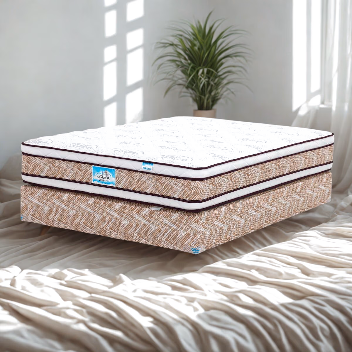 CAMA OLYMPIA EDICIÓN MATRIMONIAL CHAPINA DOBLE BOX TOP