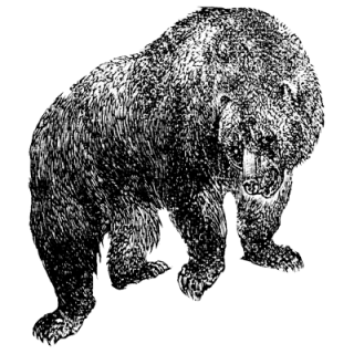   happy profile picture