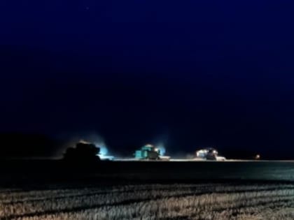 Уборочная кампания в Тяжинском округе завершена на 67%