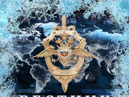 Министерством внутренних дел РФ создан официальный информационный ресурс «Вестник Киберполиции России»