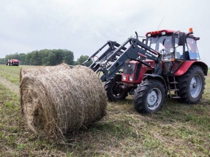 Сельскохозяйственные достижения Кузбасса в заготовке кормов