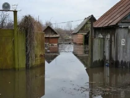 Заболевание лептоспирозом зафиксировано в Чехии после наводнения