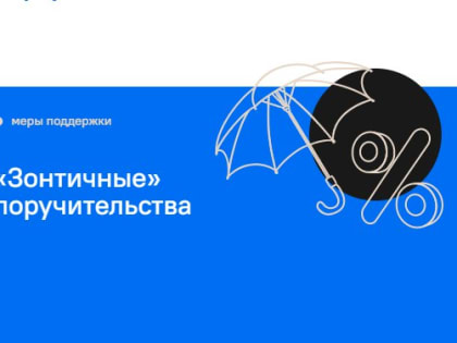 Не менее 120 млрд рублей смогут получить МСП под «зонтичные» поручительства в июле-сентябре 2024 года