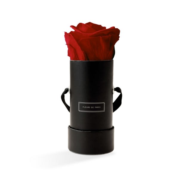 Rose Royal Red Mini von Rausch