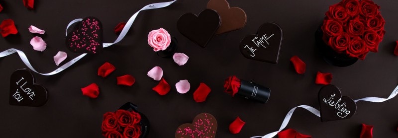 media/image/200129_B-Teaser_valentin.jpg