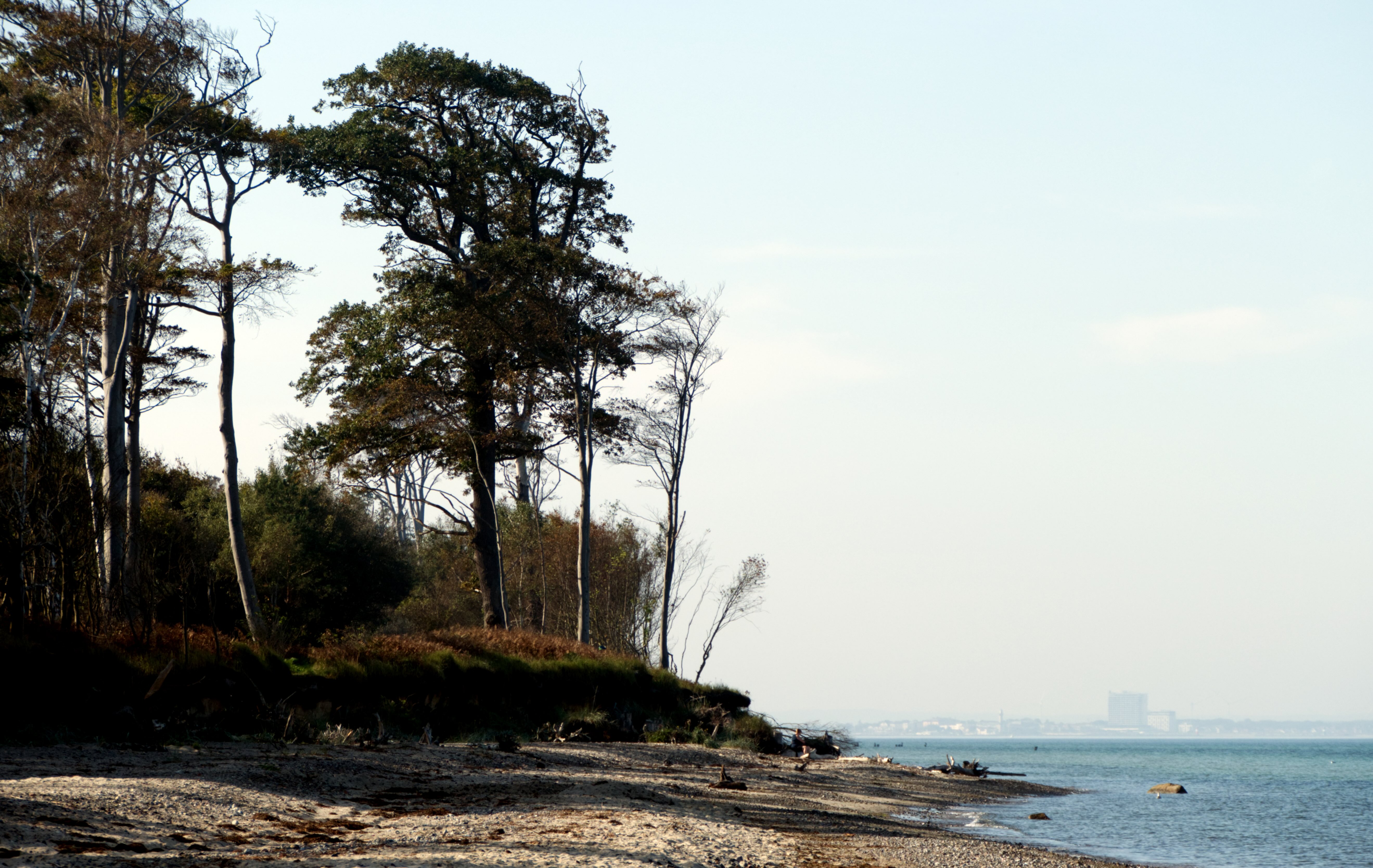 Torfbrücke - uriger Strand vor Graal-Müritz