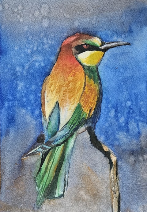 European bee-eater - Original painting by Dejan Zivkovic