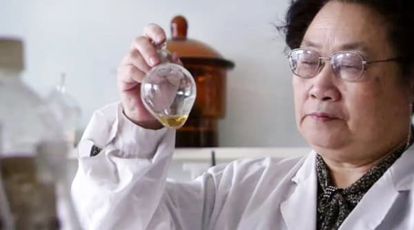 Tu Youyou e la storia dell'artemisinina