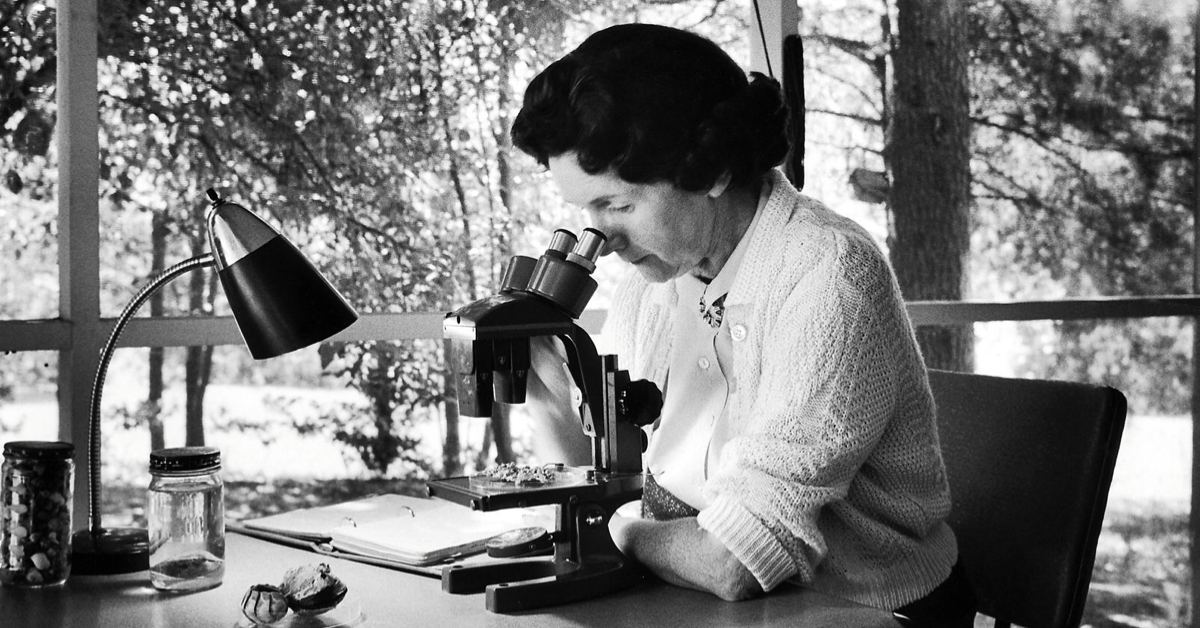 Primavera silenziosa, la storia di Rachel Carson