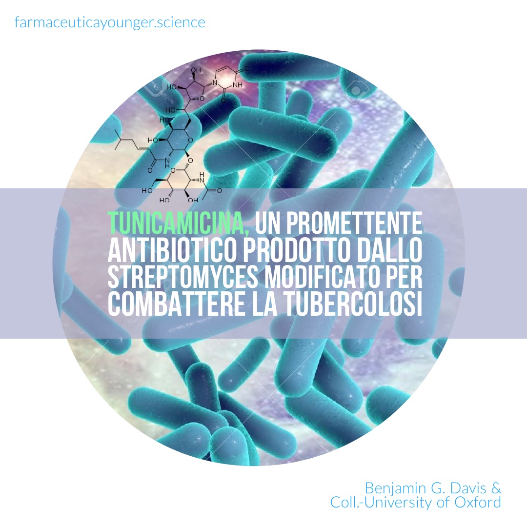 Tunicamicina, un potenziale antibiotico modificato per il trattamento della tubercolosi