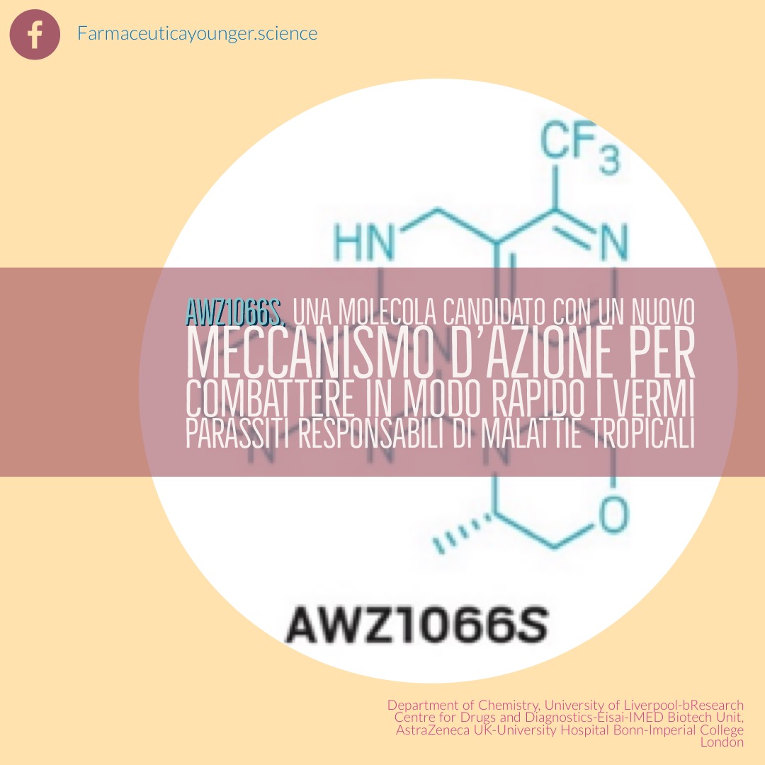 Nuova molecola candidato per combattere i vermi nematodi responsabili di malattie tropicali 