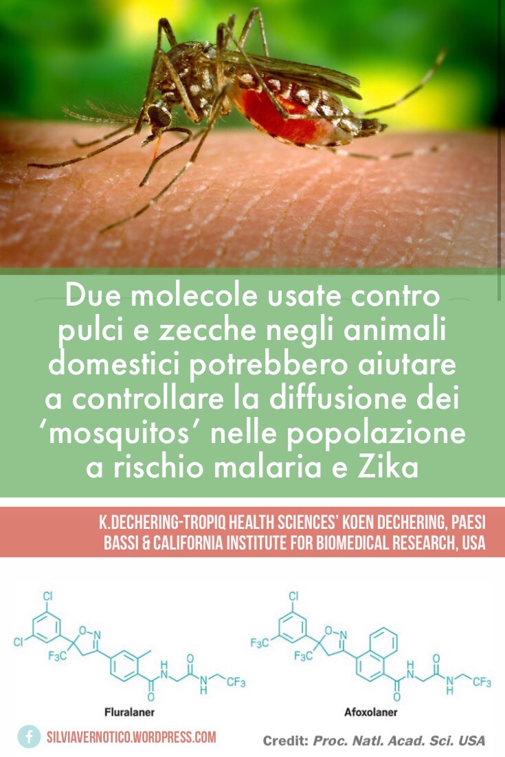 HOT THIS WEEK IN FARMACEUTICA YOUNGER N.58