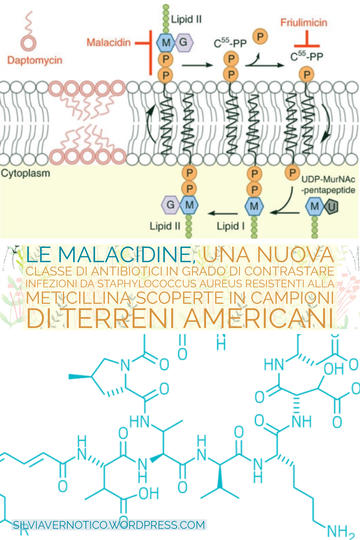 HOT THIS WEEK IN PHARMACEUTICAL CHEMISTRY N.38