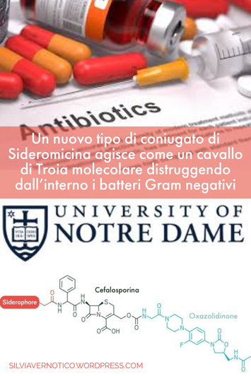 HOT THIS WEEK IN PHARMACEUTICAL CHEMISTRY N.45