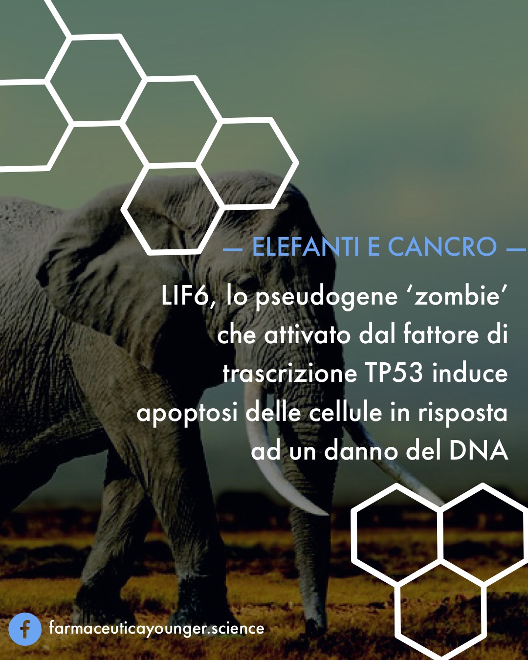 LIF6, pseudogene ‘zombie’ che attivato da TP53 induce apoptosi delle cellule in risposta ad un danno del DNA