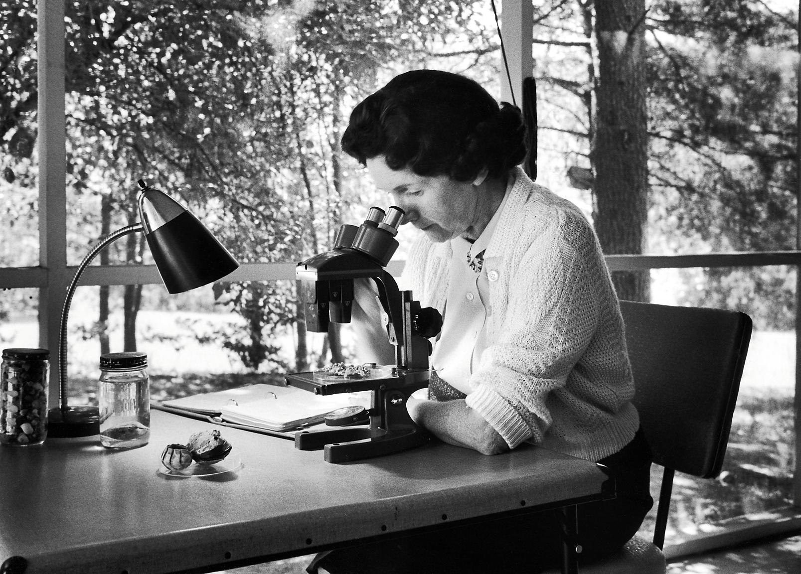 Primavera silenziosa, la storia di Rachel Carson | Farmaceutica Younger