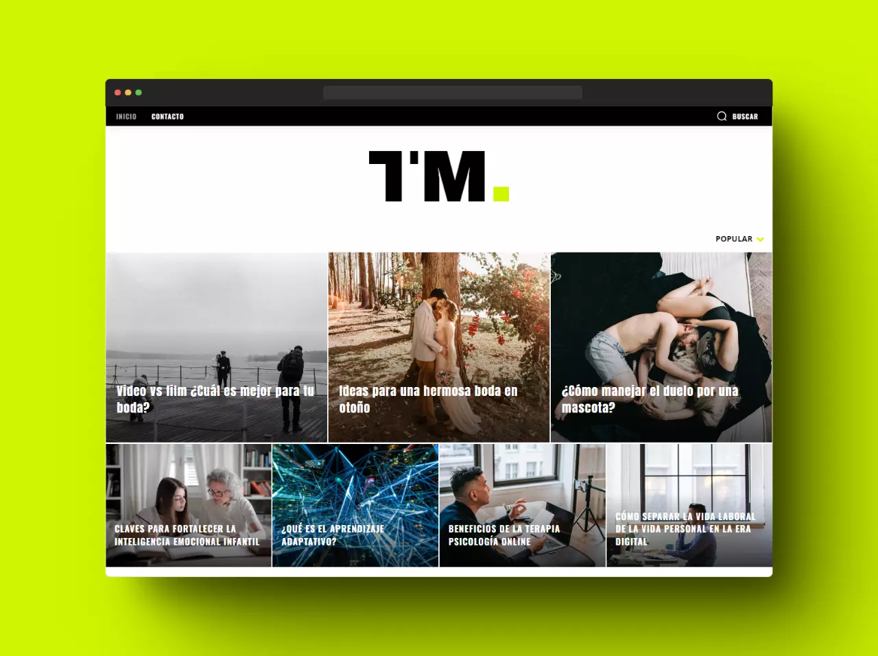 Imagen del proyecto web TOPMundo