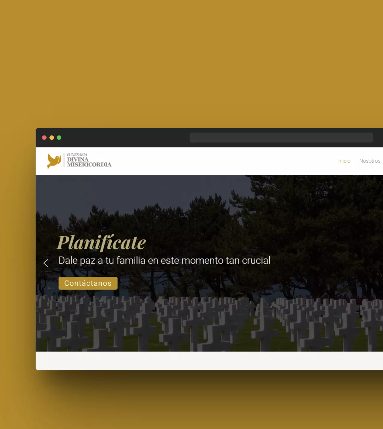 Imagen del proyecto web Funeraria Divina Misericordia (FUDIMI)