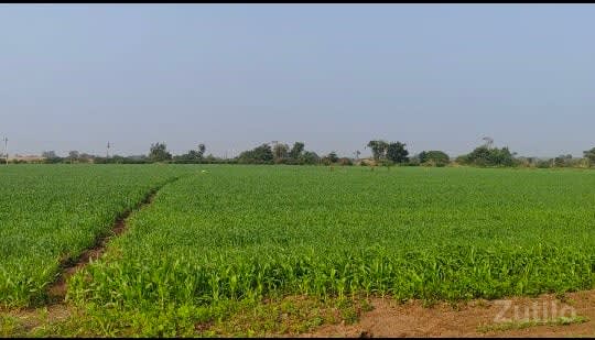 ખેતીની જમીન વેચવાની છે - Land & Plots - Gandhinagar City - Image 1
