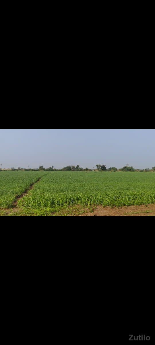 ખેતીની જમીન વેચવાની છે - Land & Plots - Gandhinagar City - Image 2