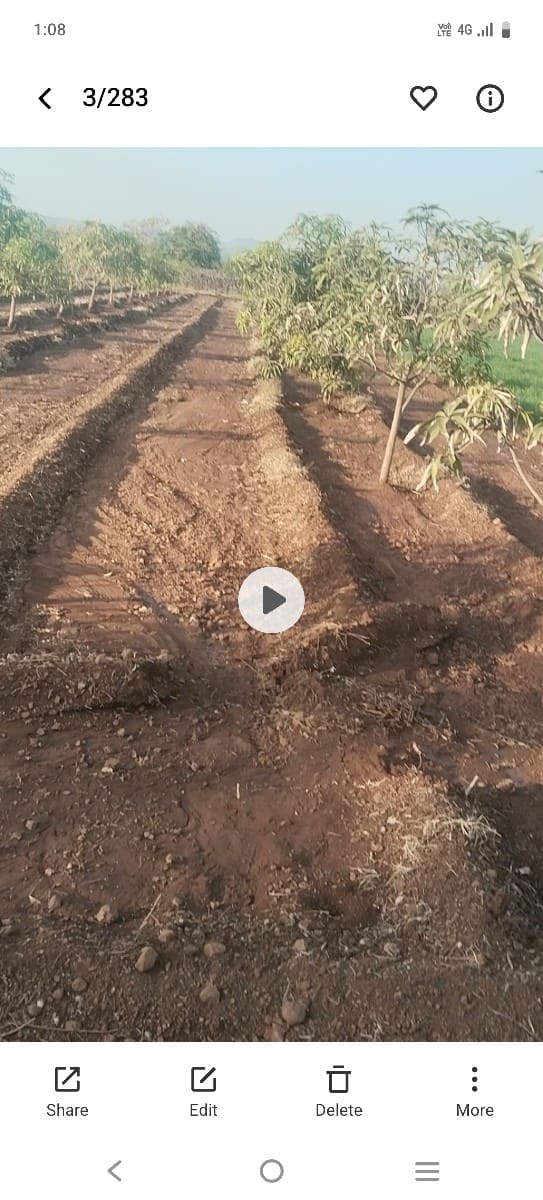 બગીચા વાળી જમીન વેચવા ની છે - Land & Plots - Bodeli - Image 3