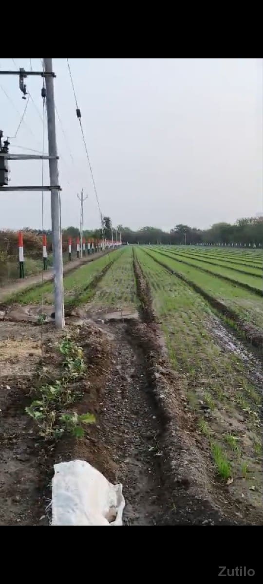 આ જમીન વેચવાની છે - Land & Plots - Dhoraji - Image 2